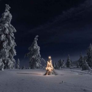 دانلود آهنگ کشام دورش کش خپل